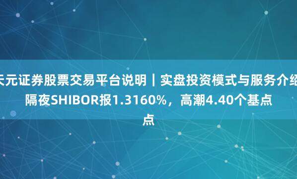 天元证券股票交易平台说明｜实盘投资模式与服务介绍 隔夜SHIBOR报1.3160%，高潮4.40个基点