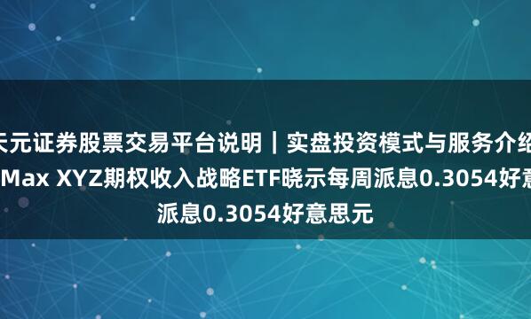 天元证券股票交易平台说明｜实盘投资模式与服务介绍 YieldMax XYZ期权收入战略ETF晓示每周派息0.3054好意思元