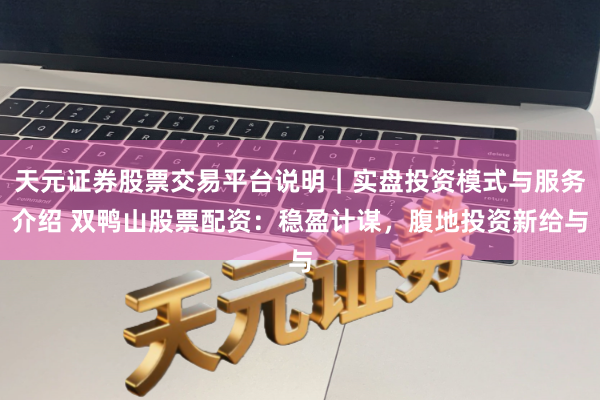 天元证券股票交易平台说明｜实盘投资模式与服务介绍 双鸭山股票配资：稳盈计谋，腹地投资新给与